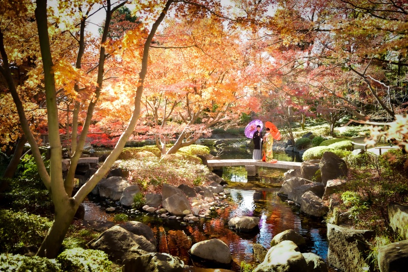 撮影スポット「石橋が架かる池」