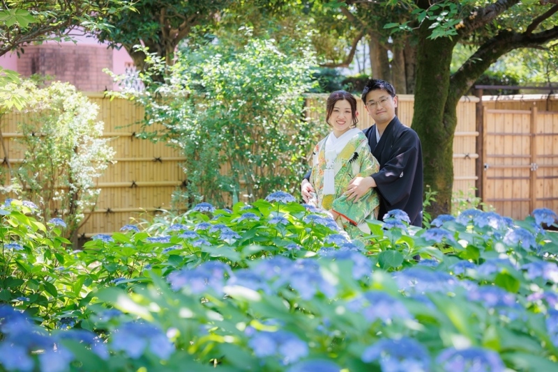 6月は紫陽花が綺麗です✿