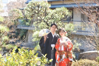 冬でも緑いっぱい♪