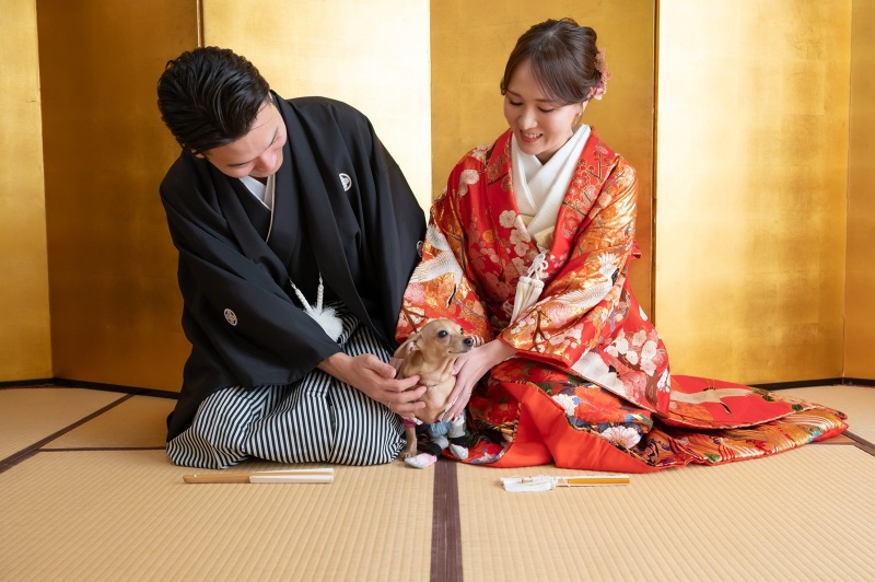 ワンちゃん　お座りできるかな