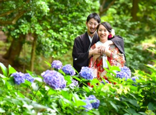 華雅苑　阿佐ヶ谷店_肥後細川庭園（4月～6月）