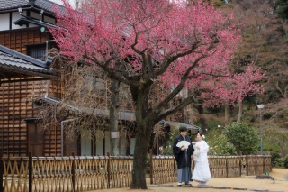 華雅苑 阿佐ヶ谷店_肥後細川庭園(1月~6月)