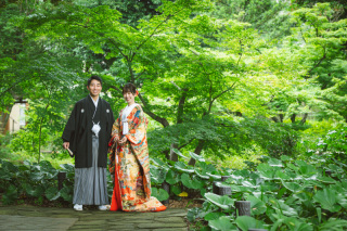 華雅苑 阿佐ヶ谷店_肥後細川庭園 夏の特選画像