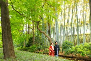 華雅苑　阿佐ヶ谷店_大田黒公園（旧大田黒庭園）4月～6月