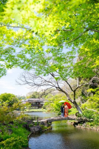 華雅苑 阿佐ヶ谷店_肥後細川庭園(4月~6月)