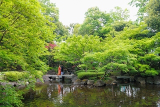 華雅苑　阿佐ヶ谷店_大田黒公園（旧大田黒庭園）4月～6月