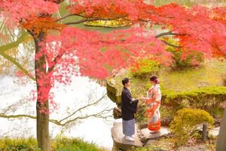 華雅苑　阿佐ヶ谷店_紅葉　11/25～12/15