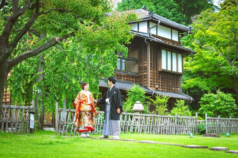肥後細川庭園の緑