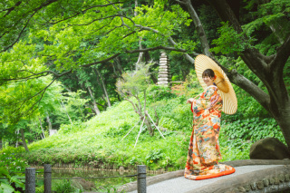 華雅苑 阿佐ヶ谷店_肥後細川庭園 夏の特選画像