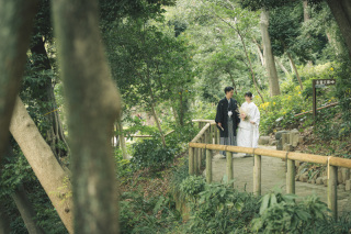 華雅苑　阿佐ヶ谷店_肥後細川庭園（7月～12月）