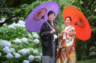 華雅苑 阿佐ヶ谷店_肥後細川庭園(4月~6月)