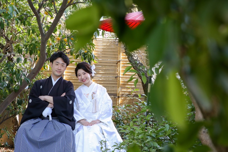 ２０２６年春のお得なプラン