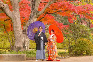 華雅苑　阿佐ヶ谷店_紅葉　11/25～12/15