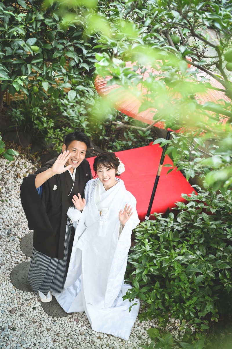 多彩なプランをご用意しています