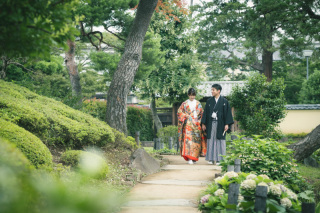 華雅苑 阿佐ヶ谷店_肥後細川庭園 夏の特選画像