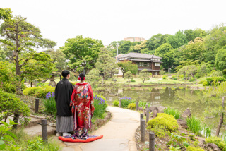華雅苑 阿佐ヶ谷店_肥後細川庭園(1月~6月)