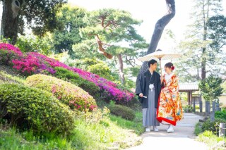 華雅苑 阿佐ヶ谷店_肥後細川庭園(4月~6月)