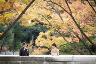 華雅苑　阿佐ヶ谷店_新宿中央公園