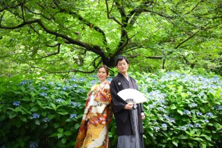 華雅苑　阿佐ヶ谷店_大田黒公園（旧大田黒庭園）4月～6月