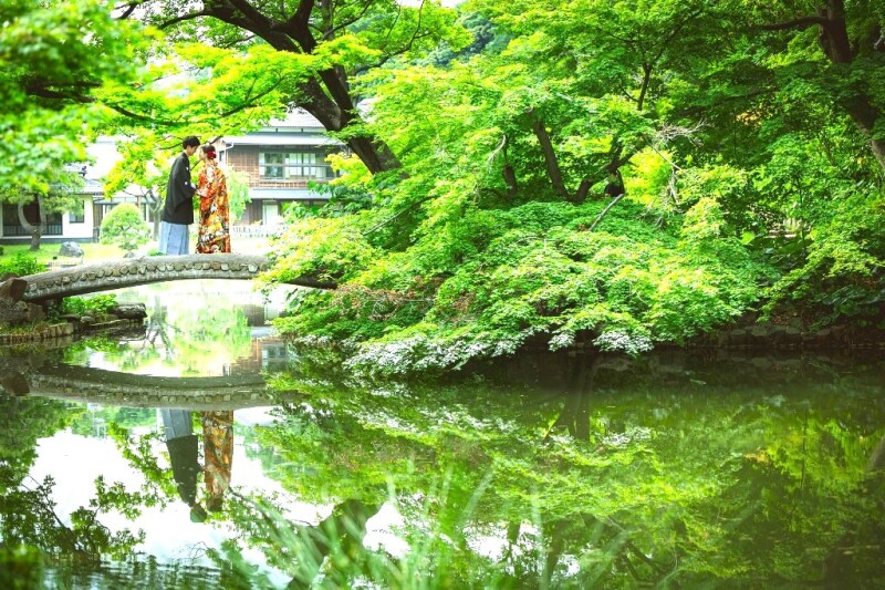５月は新緑が最盛期です