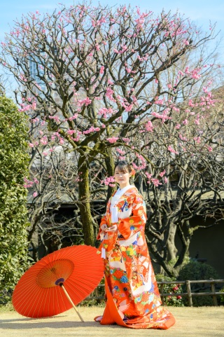 華雅苑　阿佐ヶ谷店_目白庭園