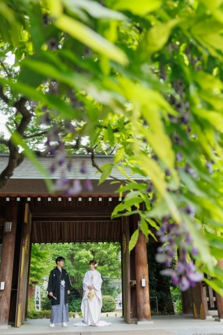 華雅苑　阿佐ヶ谷店_神社＋東京駅