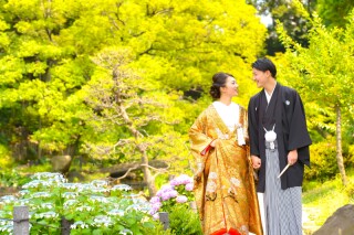 華雅苑　阿佐ヶ谷店_肥後細川庭園（4月～6月）