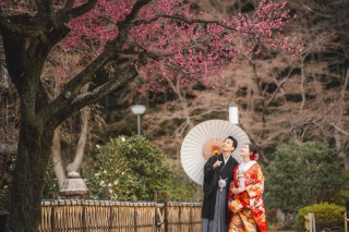 華雅苑 阿佐ヶ谷店_肥後細川庭園(1月~6月)