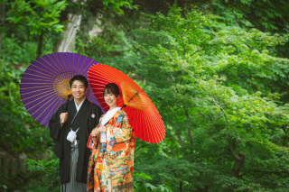 華雅苑 阿佐ヶ谷店_肥後細川庭園 夏の特選画像