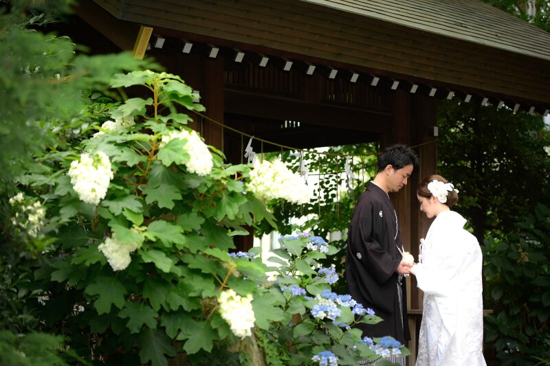 ≪和装２着≫雨天時は特典付き♪6/15～7/10撮影★阿佐ヶ谷神明宮とスタジオで撮影　衣裳差額無し　美容　撮影データ１５０枚付