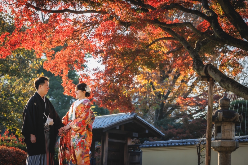 11/25~12/15の撮影 日本庭園と結婚奉告祭が出来る阿佐ヶ谷神明宮で撮影★和装弐点プラン 衣裳差額無し・美容・撮影データ付