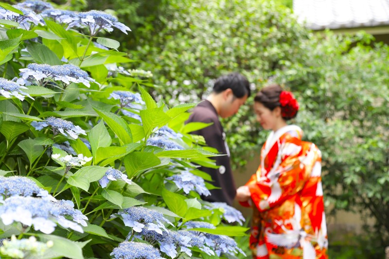 先着10組様　★6/1～6/30　和装壱点プラン　通常料金100,000円&rArr;88,000円