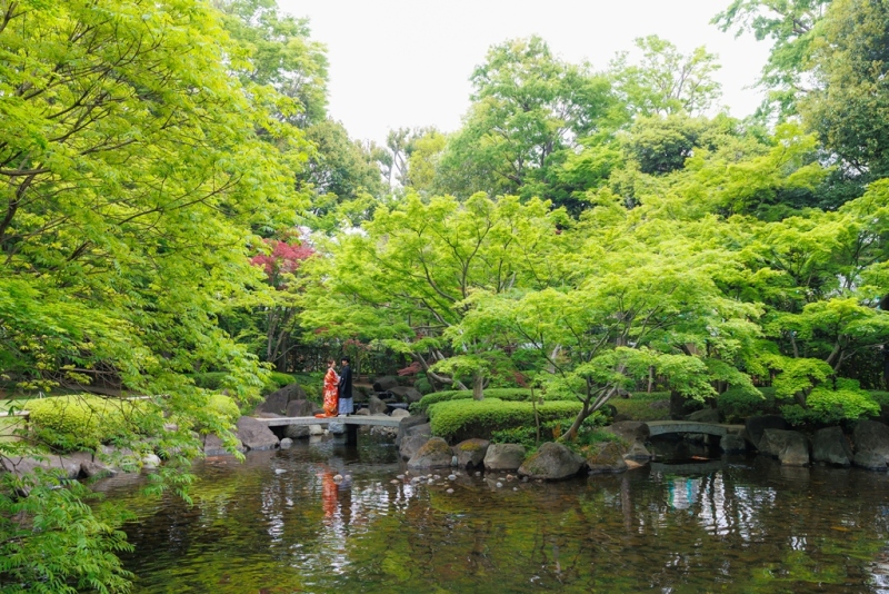 和装1着　直前プラン　5/11～5/30