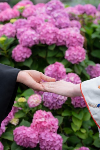 6月は紫陽花キャンペーン　先着20組
