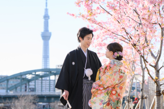 3/1撮影：河津桜ロケ✿