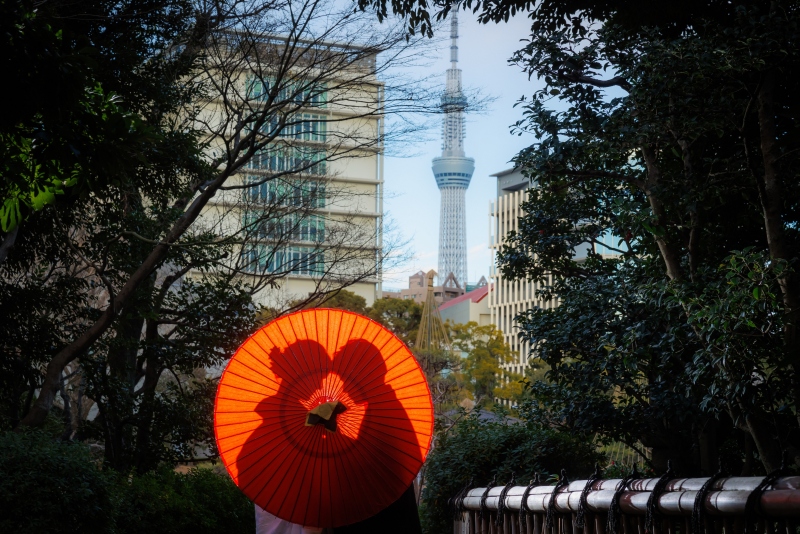 お天気が良い日にはこんなショットも◎