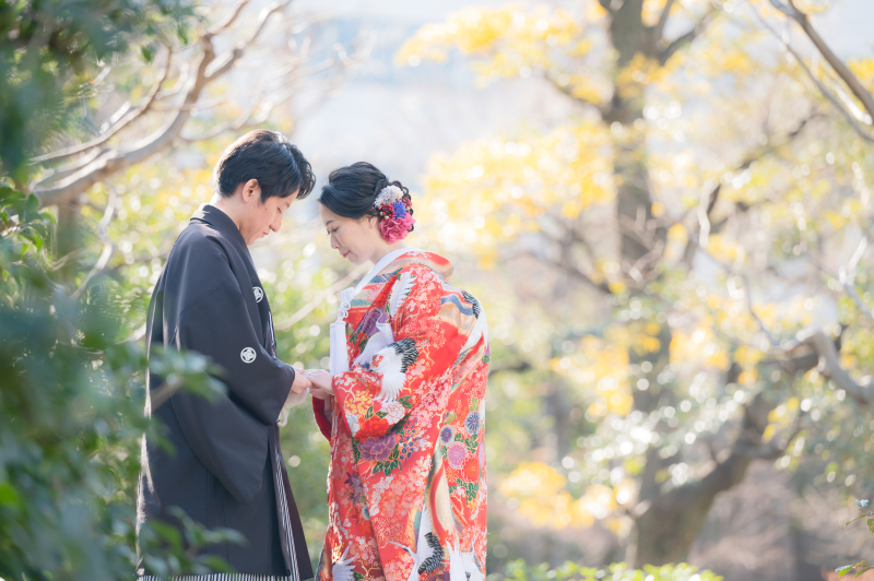 美しい常緑樹のなかで･･･