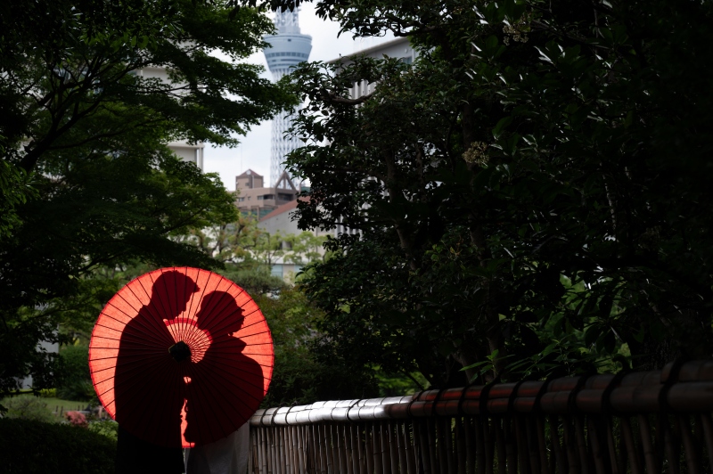 シルエットショット