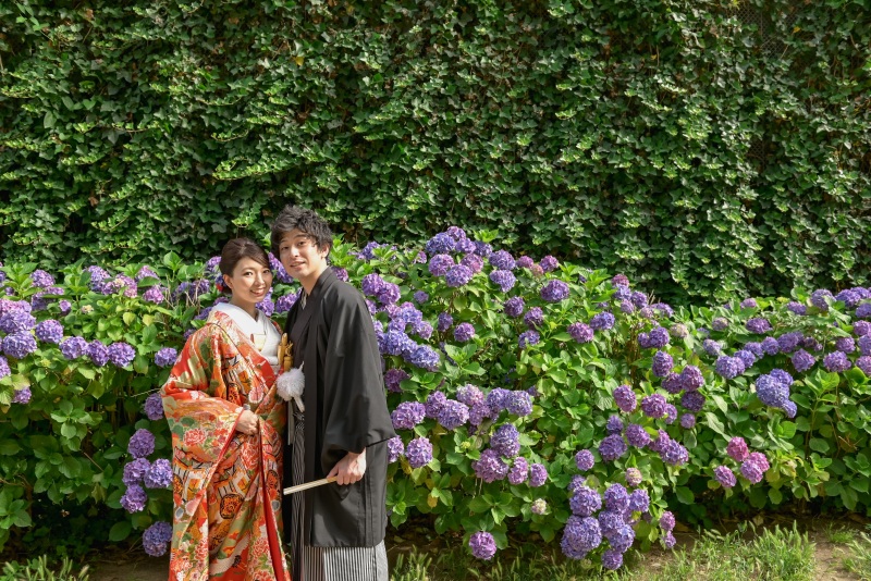 紫陽花シーズンのご撮影♡