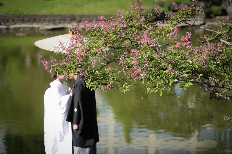 こんな雰囲気のお写真も…