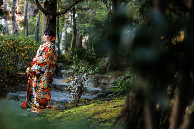 1月も常緑樹があります★