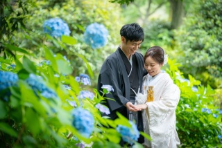 6/14撮影：アジサイショット盛り沢山♡　旧安田庭園