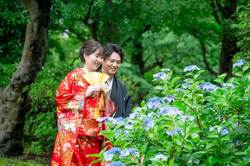 ≪6月初旬紫陽花≫