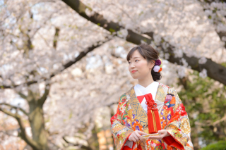 横網町公園の桜