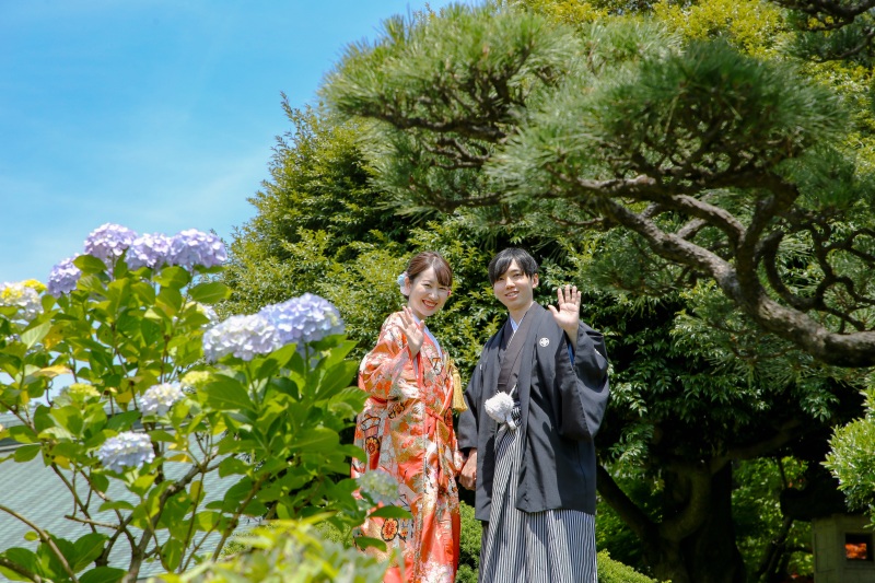 あじさいフォト