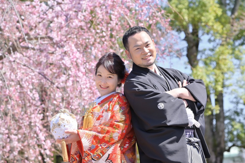 シダレザクラ✿