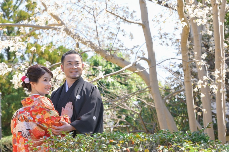 コブシも咲きます♪