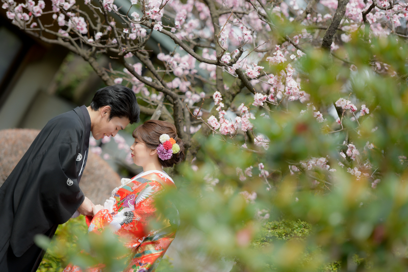 あんずのお花！