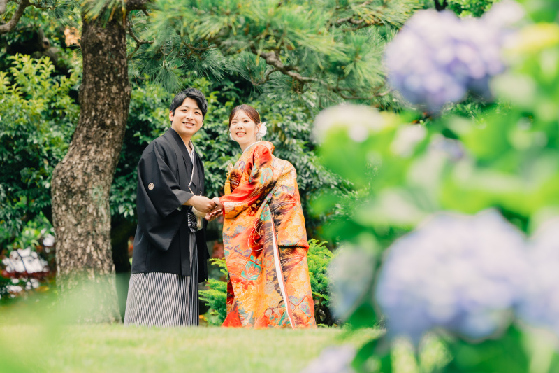 紫陽花フォト
