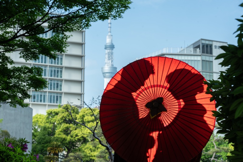 和傘でシルエットショット